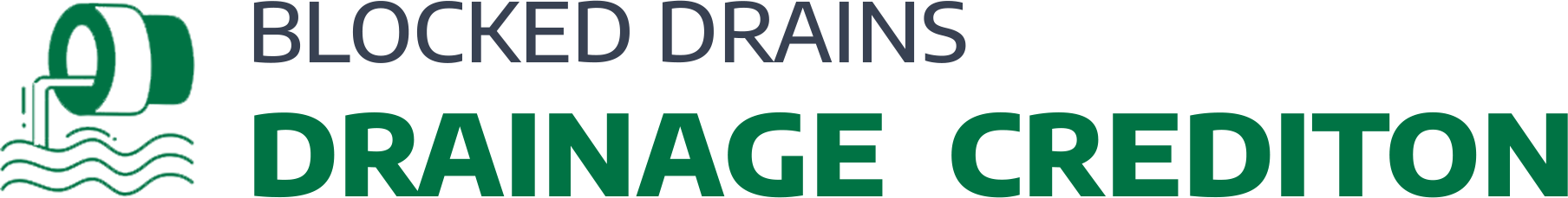 website logo